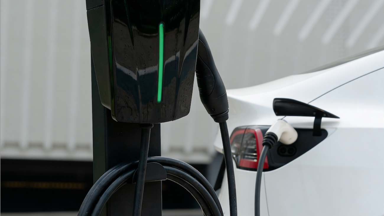 Captura de Tela 2026-03-31 às 14.08.11